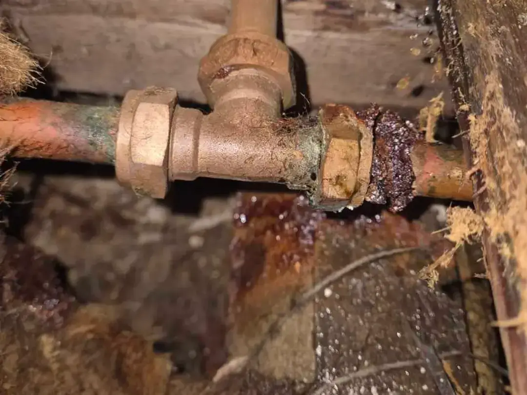 A corroded brass pipe fitting under floorboards with water droplets on it