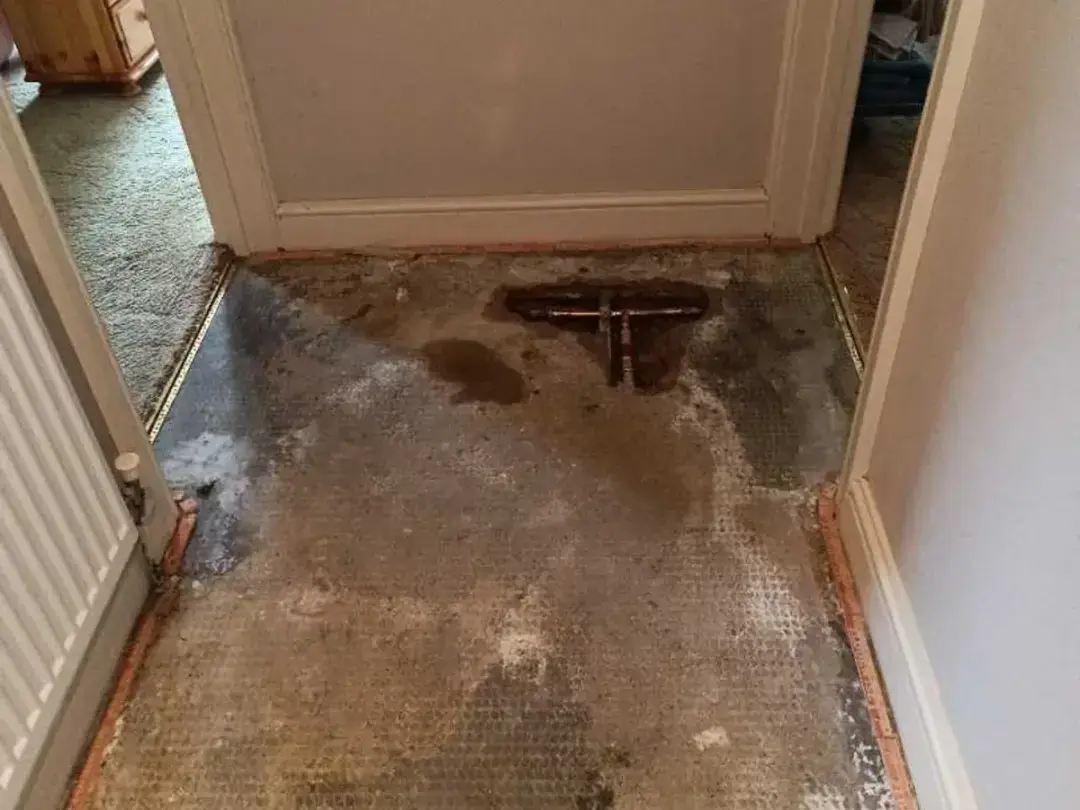 A hallway floor with the carpet up and the repaired pipe joint visible in an opening by the door